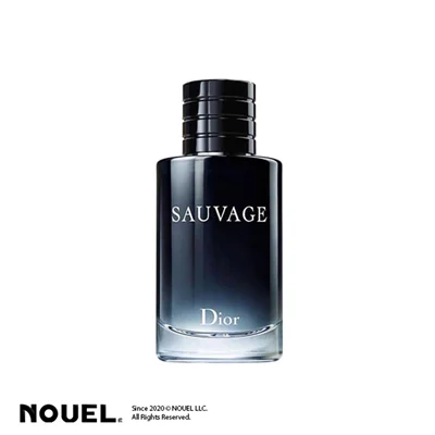 عطر ادکلن دیور ساواج (ساواژ) | Dior Sauvage
