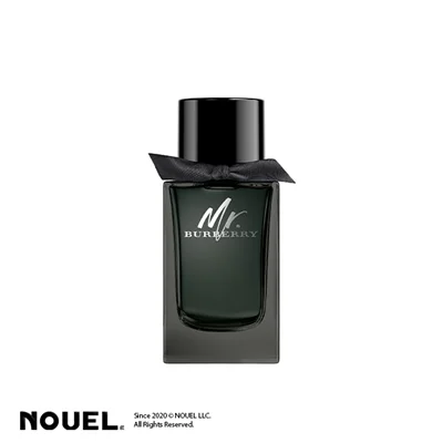 ادکلن باربری مستر باربری ادو پرفیوم | Burberry Mr.Burberry Eau de Parfum