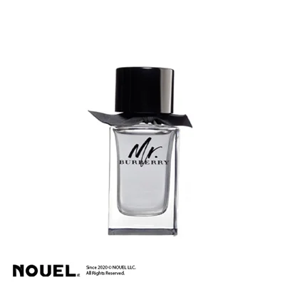 ادکلن بربری مستر بربری | Burberry Mr.Burberry